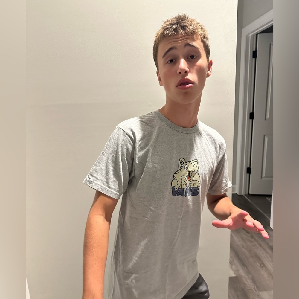 Grey Vans shirt( model not for sale)
